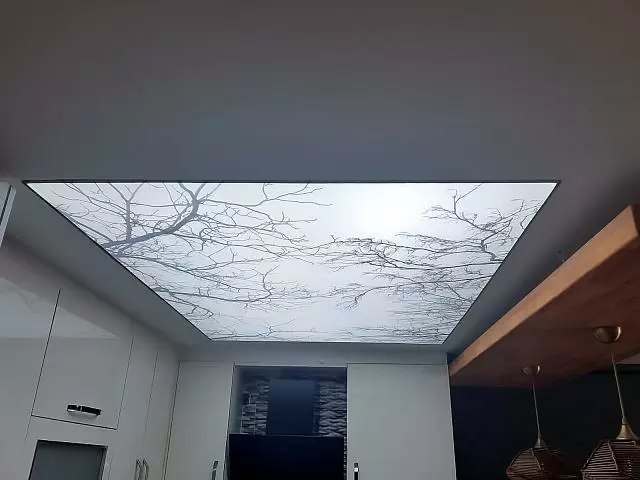 натяжной потолок double vision