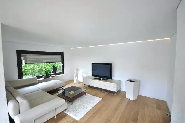 гостиная с немецким натяжным потолком